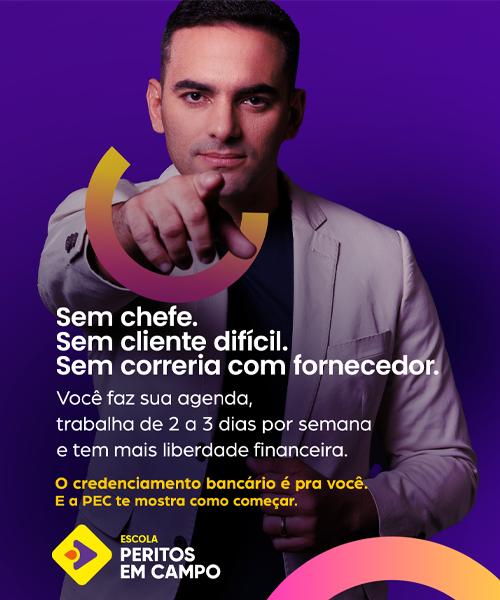 MENTORIA PEC 3 copiar4